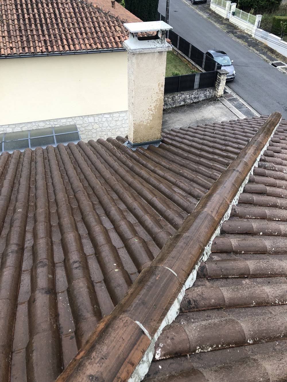 photo 3.jpg